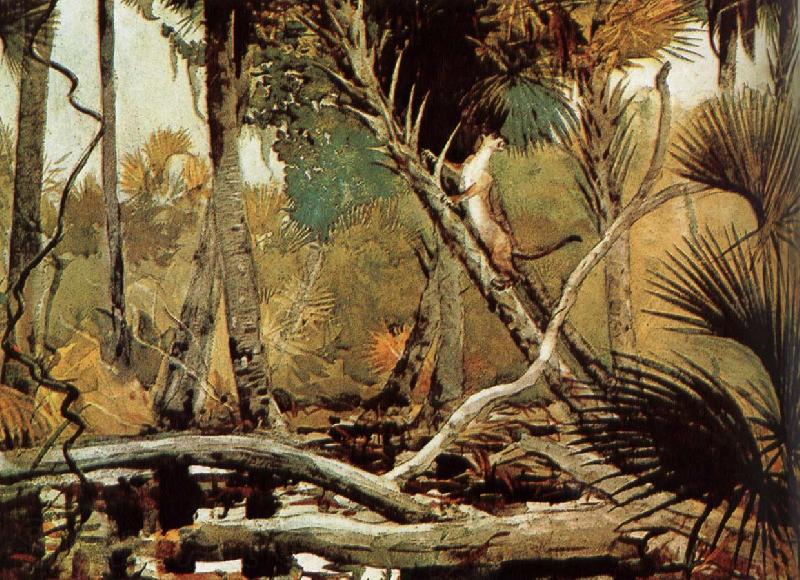 Winslow Homer Florida Jungle